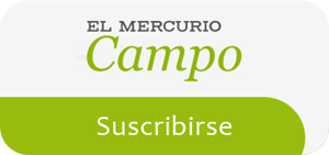 El Mercurio Campo